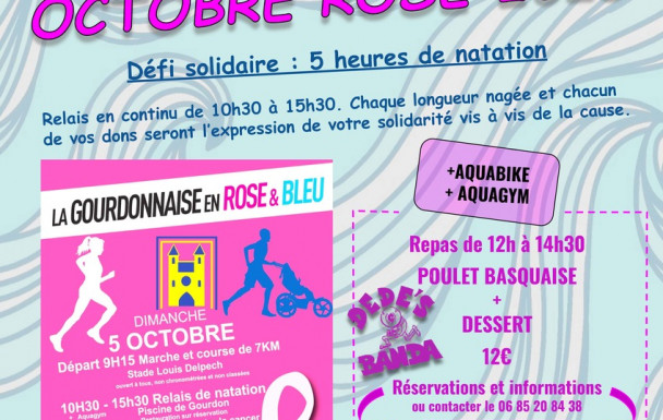 LA GOURDONNAISE ROSE ET BLEU AFFICHE NATATION